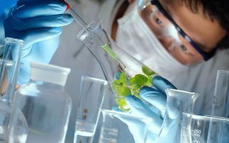 南京網絡設備制造致富全攻略